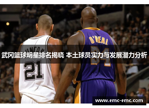 武冈篮球明星排名揭晓 本土球员实力与发展潜力分析